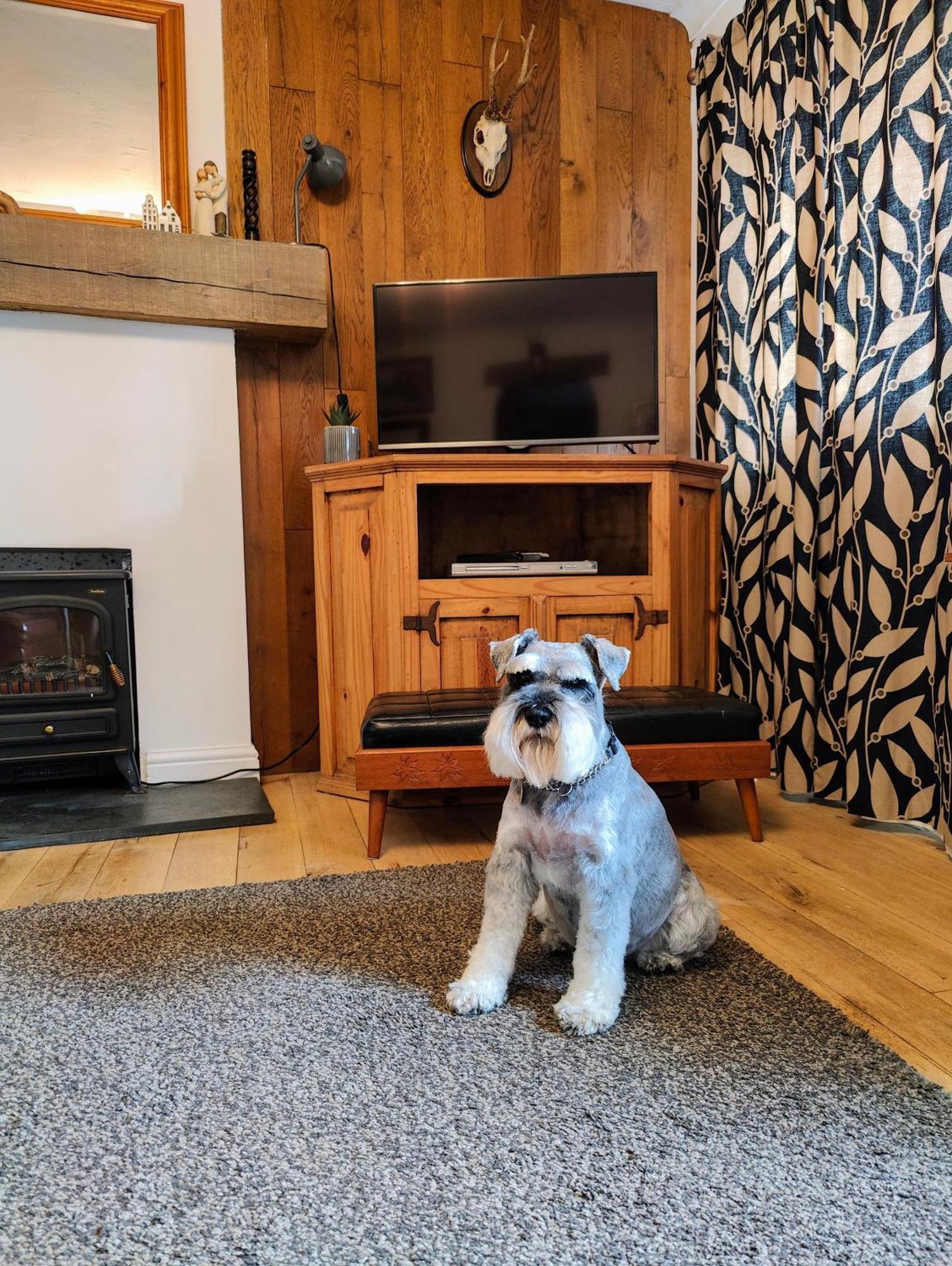 Pitcaithly Cottage Abernethy 外观 照片