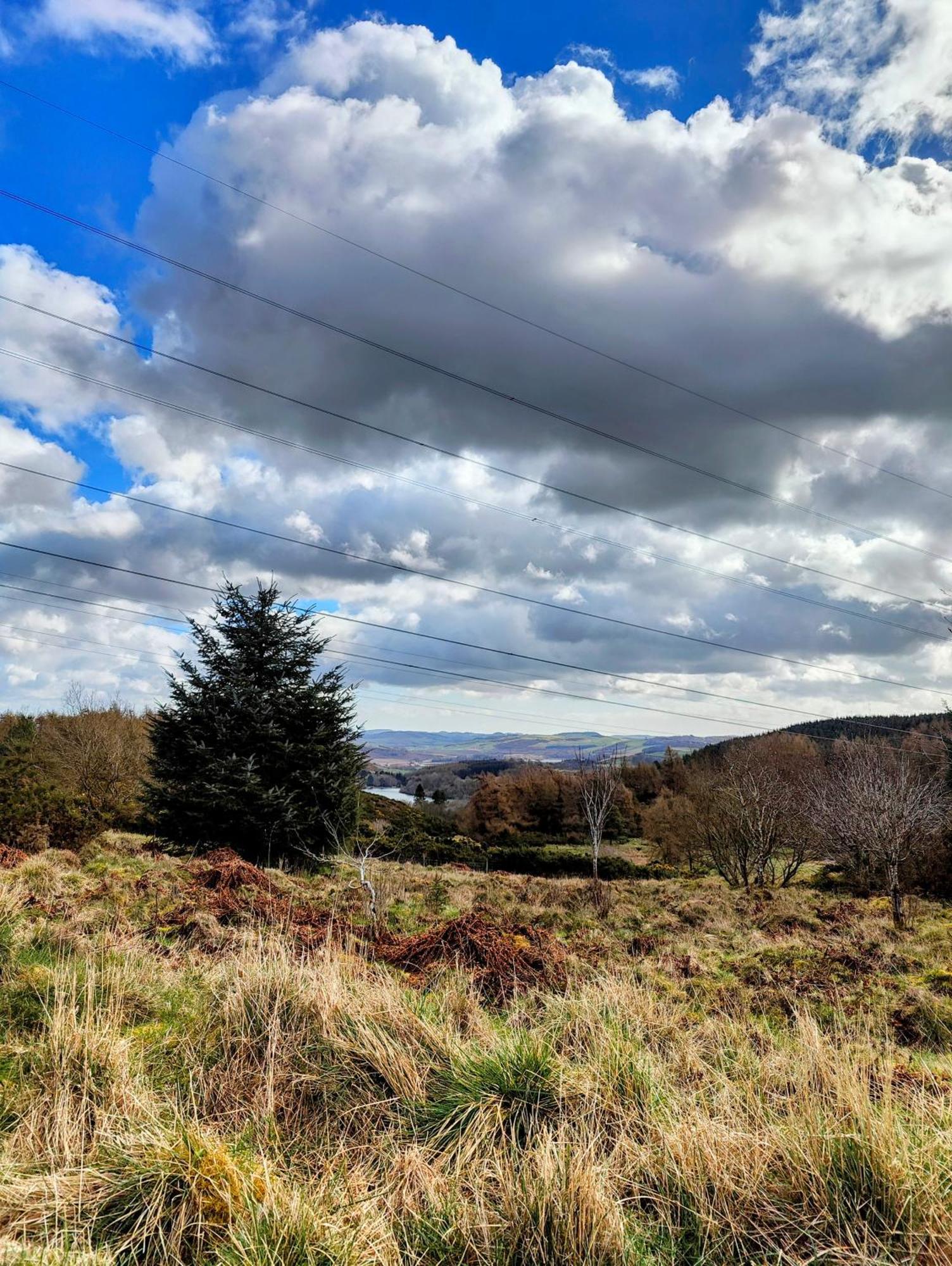Pitcaithly Cottage Abernethy 外观 照片